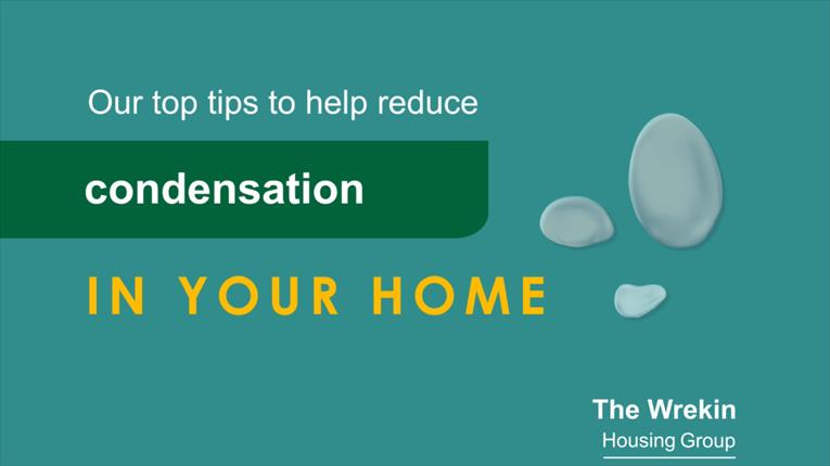 Detailed below is information on damp and condensation including some hints and tips on how to avoid it in the home.